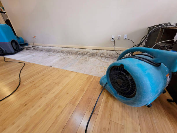 Reliable Basement Flood Cleanup contractor in Beaumont, TX by Hirex Water Damage