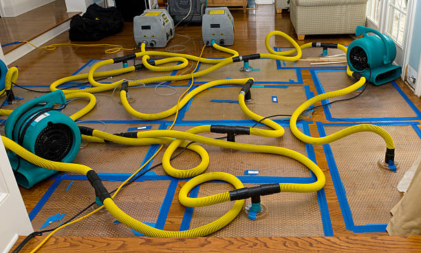 Professional Basement Flood Cleanup technician working in Beaumont, TX